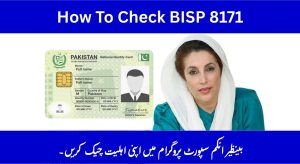 How to Check BISP 8171 Result Online by CNIC