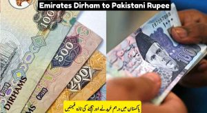 Emirates Dirham to Pakistani Rupee – Dubai Dirham Rate in…