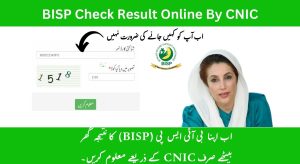 BISP Result Check Online CNIC 2025
