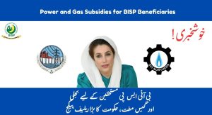 Energy Reform Plan: Power and Gas Subsidies for BISP Beneficiaries by 2025-26