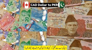 CAD To PKR Big Update: Canadian Dollar Hits New High…