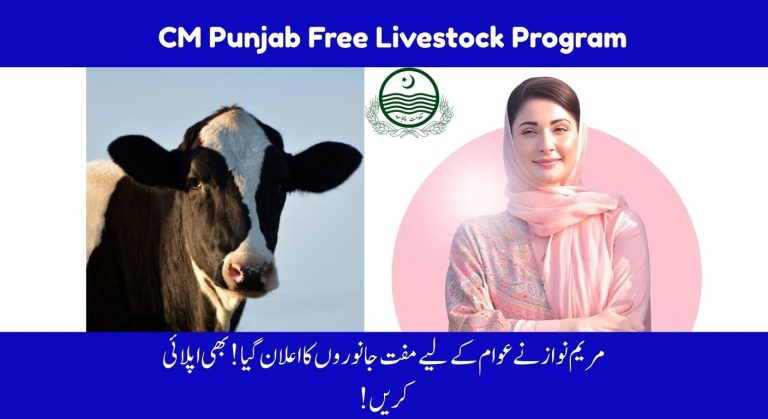 CM Punjab Free Livestock Program Phase 2 Starting Date Announced