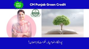 CM Punjab Green Credit Scheme Introduced in 2025 – Good…