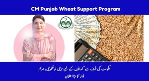 CM Punjab Wheat Support Program – Govt. Started Payment Disbursement…