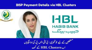 BISP 2025 Payment Details via HBL Clusters