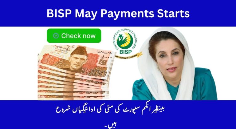 BISP 8171 Web Portal May Payments 2025 – Check Your Payments in Easy Steps