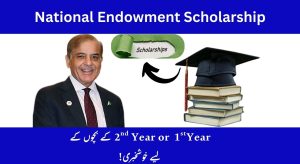 National Endowment Scholarship for Talent 2025 Amount, Eligibility Criteria &…