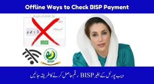 BISP 2025 Payment Check Without Web Portal – 3 Offline…
