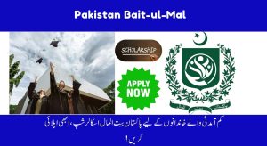 Pakistan Bait-ul-Mal Launched Financial Aid Program for Differently Abled Persons