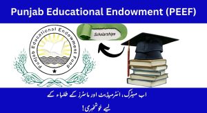 Punjab Educational Endowment Fund (PEEF) Eligibility Criteria, Scholarship Form &…