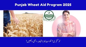 Punjab Wheat Aid Program 2025 – Eligibility, Benefits & How…