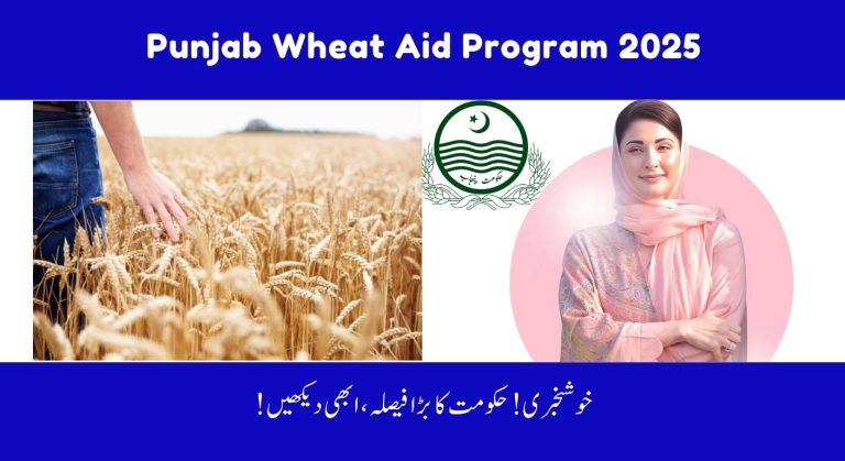 Punjab Wheat Aid Program 2025 – Eligibility, Benefits & How to Apply
