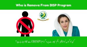 Who Is Removed from the BISP Program in…