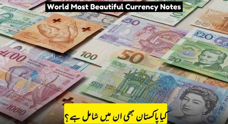 Top 10 Most Beautiful Currency Notes in the World by Design and Detail